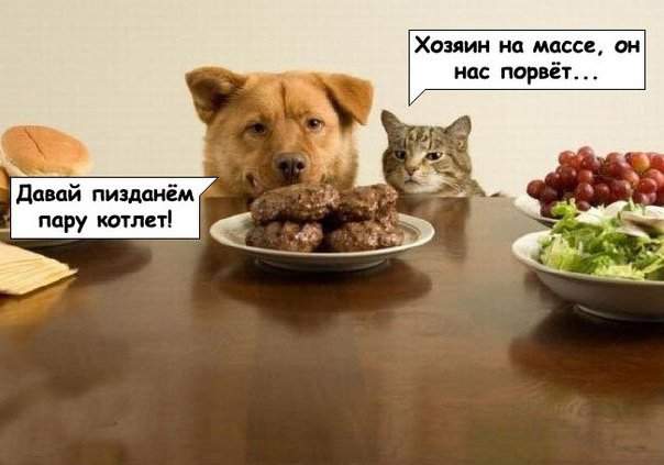Любители гири,гантелей,штанги и прочих железных радостей...
