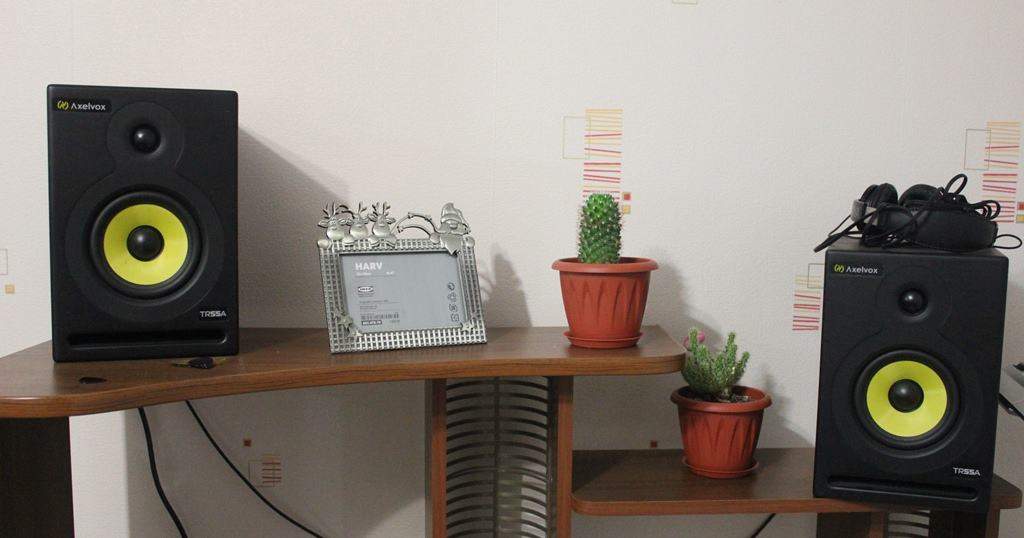 Мониторы AXELVOX TR-55A 939392-0