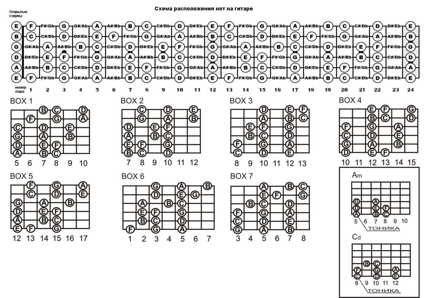 Ноты на струне ля. Боксы пентатоники на бас гитаре. Пентатоника для бас гитары 4 струны. Боксы на гитарном грифе. Боксы гамм на гитаре.