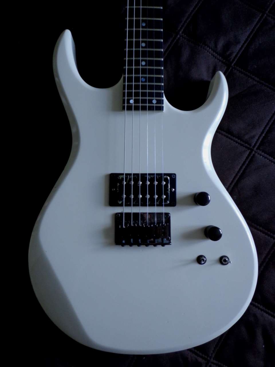 Carvin DC125 USA with BKP "Warpig" ПРОДАНО