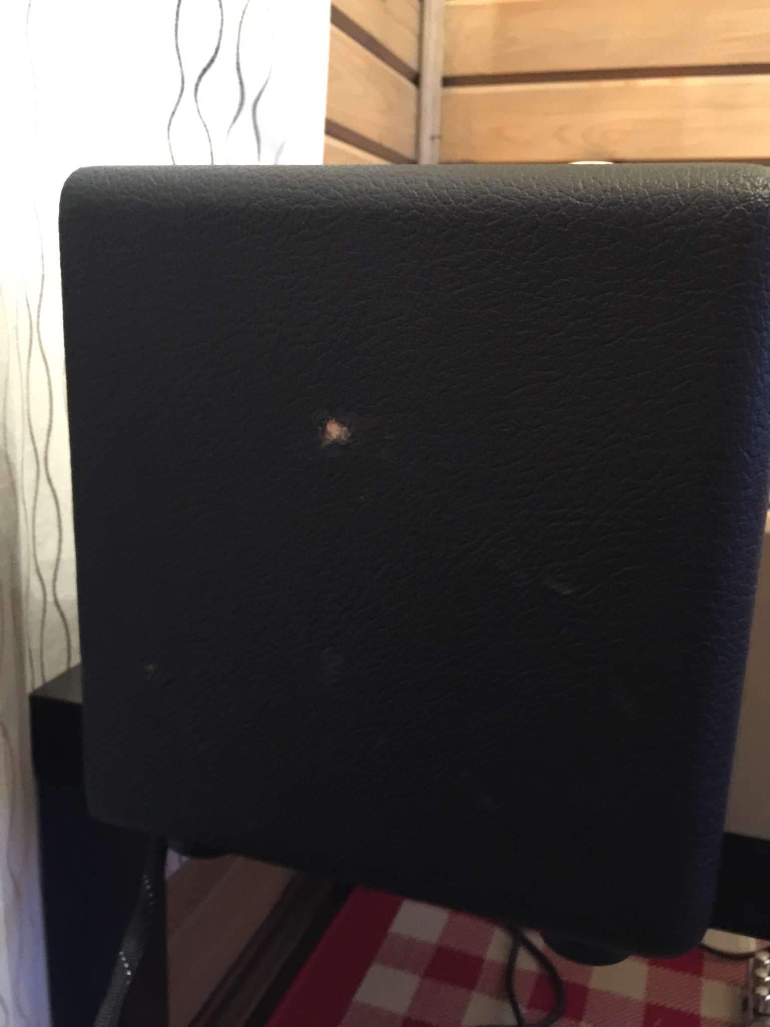 Custom Audio Amplifier / CAA PT-100 (Pete Thorn) от Suhr 2134472-4