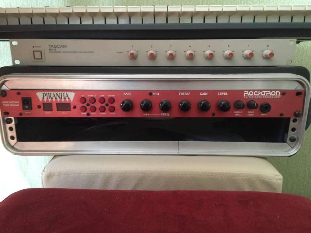 Rocktron Piranha, Roland GFC-50, SKB 2U (Москва) 2212120-0