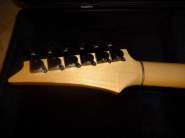 DSC00270.jpg