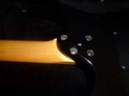 DSC00271.jpg