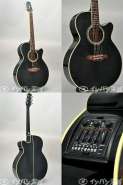 Takamine DMP-561C BL 566496-0