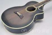 Takamine NPT-108 564758-0