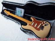 Fender Strat DX_1.jpg