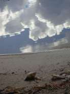 DSC09146.jpg