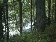 DSC09154.jpg