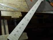 ����������� 1074.jpg