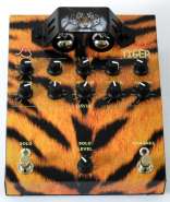 Tiger_front.jpg