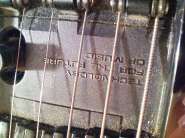 IMG975.jpg