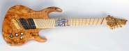 Eye of Ra 8 string 2.jpg