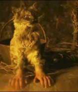 cattt.jpg