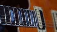 DSC08769.jpg