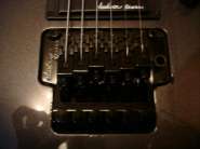 DSC00447.jpg