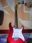 DSCN1355.jpg