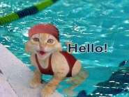CathelloSwimming.jpg