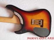 Washburn N4_2.jpg