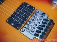 Washburn N4_3.jpg