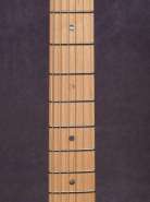FADSSA-TSB-MPL_fretboard.jpg