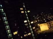 DSC01209.jpg