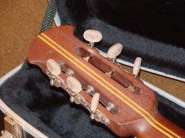 DSC02123_��������� �������_��������� �������.JPG