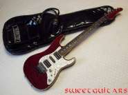Schecter SD_2.jpg