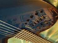 ACS-Blue_IMG_0433.jpg
