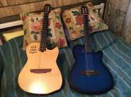 ACS-Blue_IMG_0438.jpg