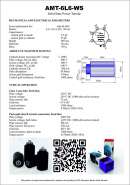 AMT-6L6-WS manual-1.jpg