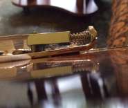 ���� (2).jpg