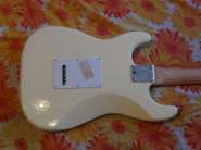 DSC00506.jpg