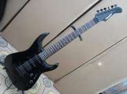 Fernandes_FR-55T_01.jpg