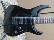 Fernandes_FR-55T_02.jpg