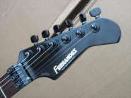 Fernandes_FR-55T_04.jpg