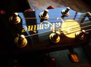 Takamine TAN15C-1.JPG