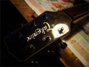 Takamine PT-01-1.jpg