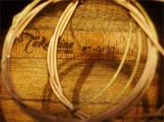 Takamine PT-01-3.jpg