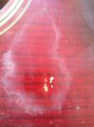 IMG_0809 (480x640).jpg