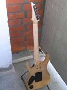 Мастерская Дэйва БУНКЕРА (Dave BUNKER) и гитары Treker - ЗА или ПРОТИВ? 220682-8