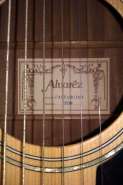 Акустика - Alvarez RD8 (С-Пб) - ПРОДАНО! 550878-4