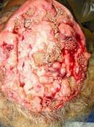 ���� ���������.jpg