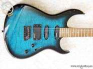 fernandes_fr60.jpg