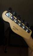 Fender2.jpg