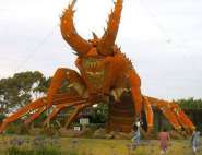 giant-lobster.jpg