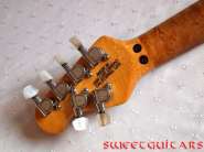 MM EVH_4.jpg