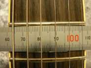 ���� FGN.jpg