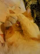 20140621_220645.jpg