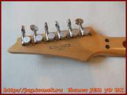 ibanez_jem_7dbk_14.jpg